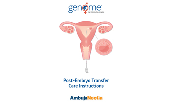 Steps after Embryo Transfer